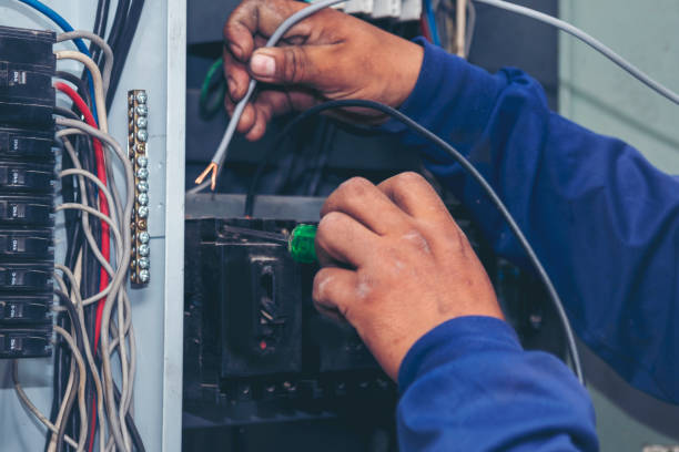 Best Ceiling Fan Installation Electrician  in Wesley Chapel, FL