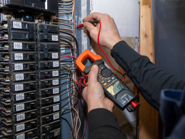 Best Affordable Electrician  in Wesley Chapel, FL
